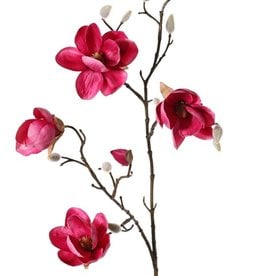 Magnolia, 5 flores (3x Ø 8cm, 2x 5 cm) & 12 capullos, 80 cm