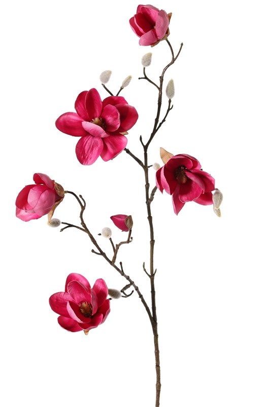 Magnolia, 5 flores (3x Ø 8cm, 2x 5 cm) & 12 capullos, 80 cm