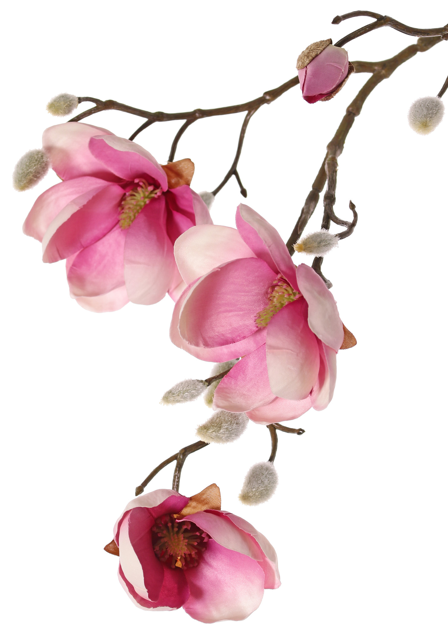 Magnolien-Zweig mit 4 Verzweigungen, 5 Blumen (3x Ø 8cm, 2x 5 cm) & 12 Knospen, 80 cm