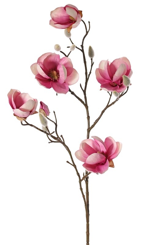 Magnolia, 5 flores (3x Ø 8cm, 2x 5 cm) & 12 capullos, 80 cm