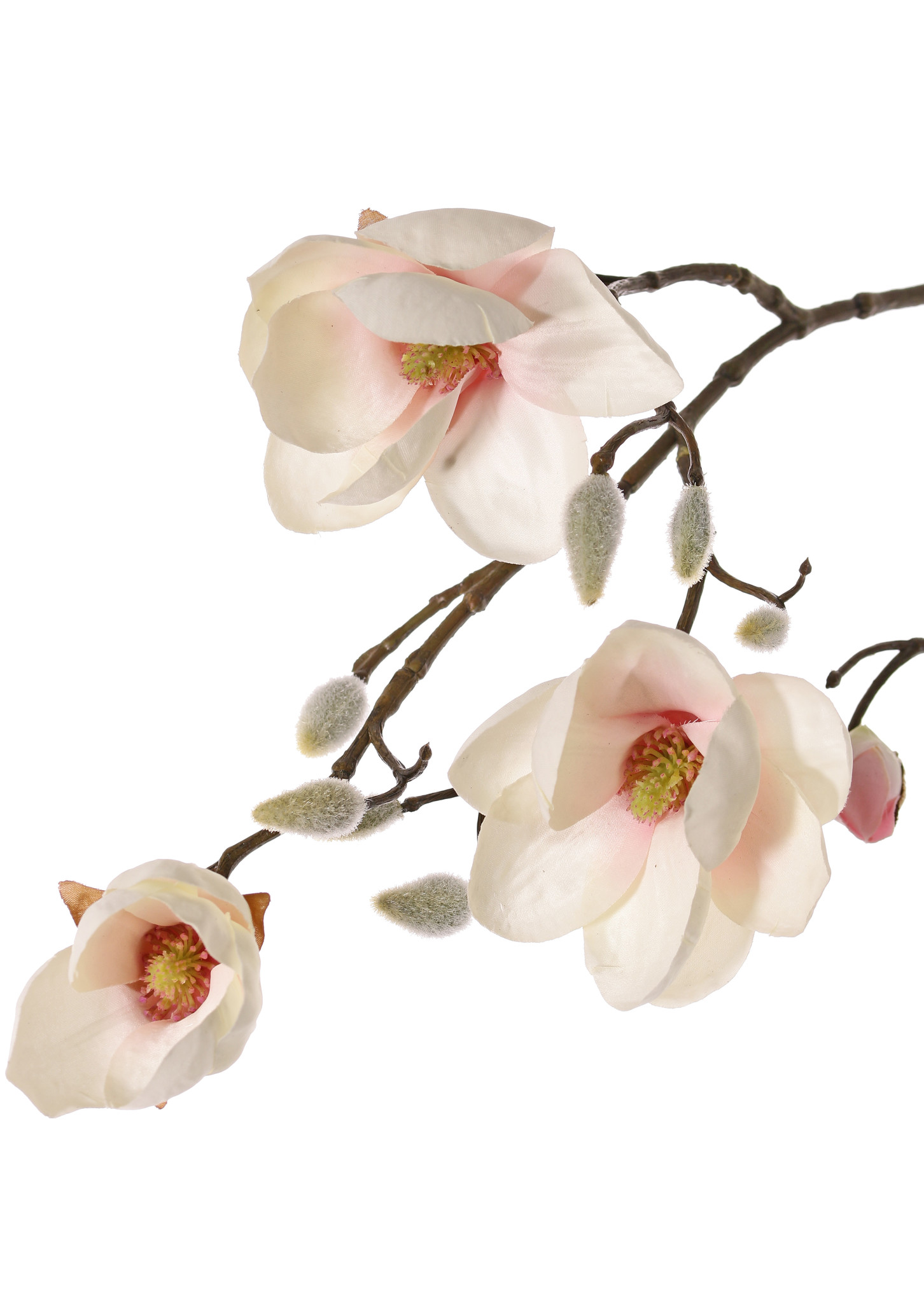 Magnolien-Zweig mit 4 Verzweigungen, 5 Blumen (3x Ø 8cm, 2x 5 cm) & 12 Knospen, 80 cm