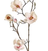 Magnolia, 5 flowers (3x Ø 8cm, 2x 5 cm) & 12 buds, 80 cm