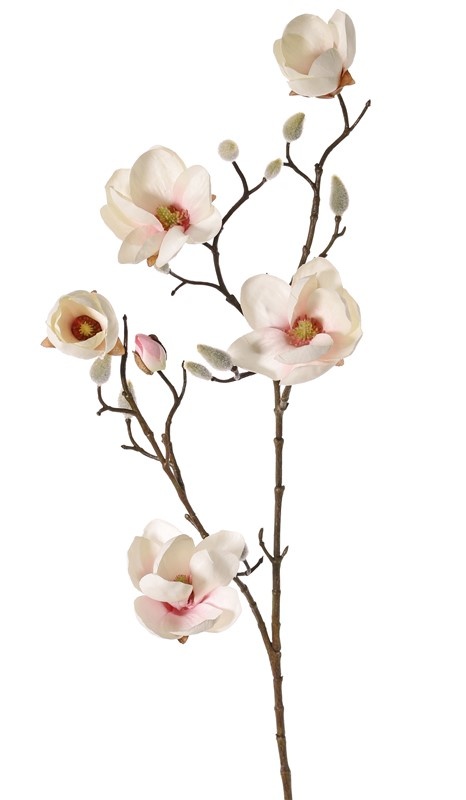 Magnolien-Zweig mit 4 Verzweigungen, 5 Blumen (3x Ø 8cm, 2x 5 cm) & 12 Knospen, 80 cm