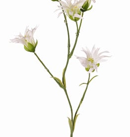 Dianthus (japanisch) mit 5 Blumen und 14 Blättern, 65 cm