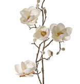 Magnolia, 5 flowers (3x Ø 8cm, 2x 5 cm) & 12 buds, 80 cm