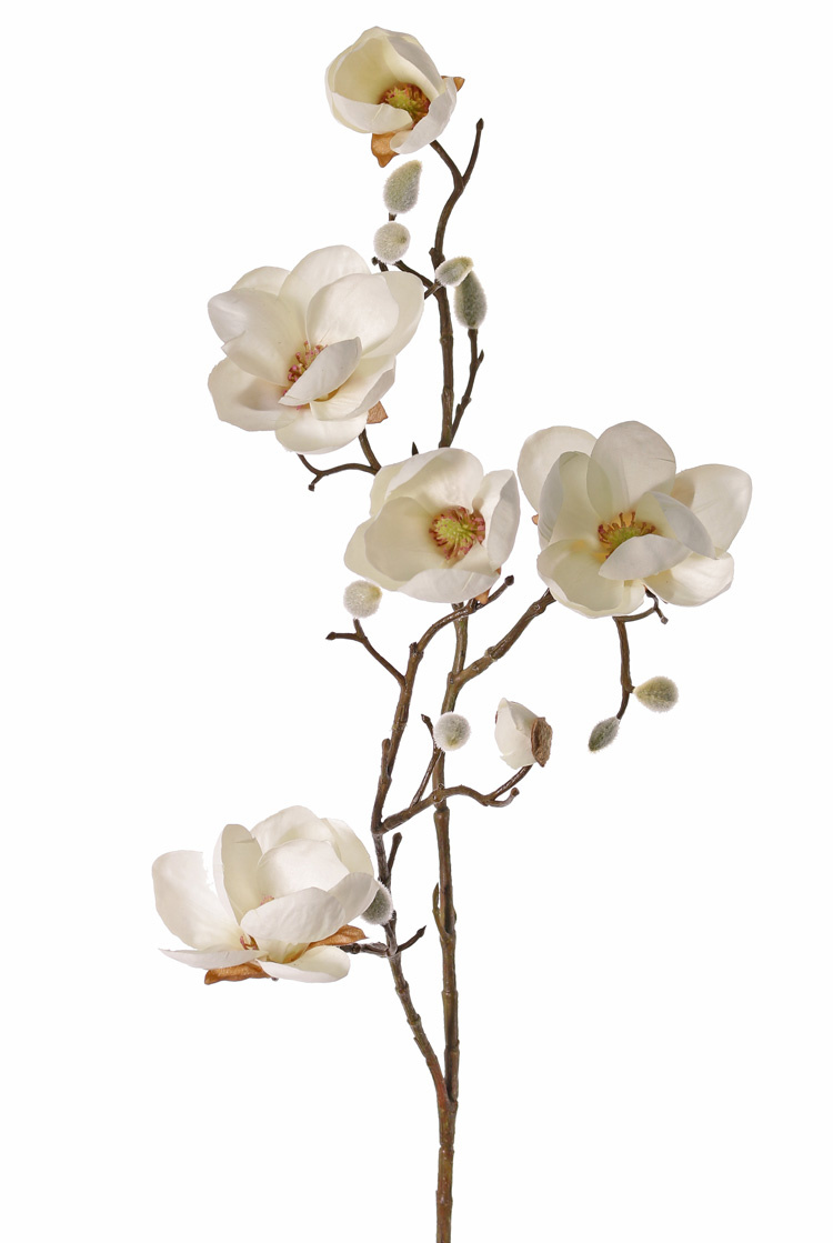 Magnolia, 5 flowers (3x Ø 8cm, 2x 5 cm) & 12 buds, 80 cm