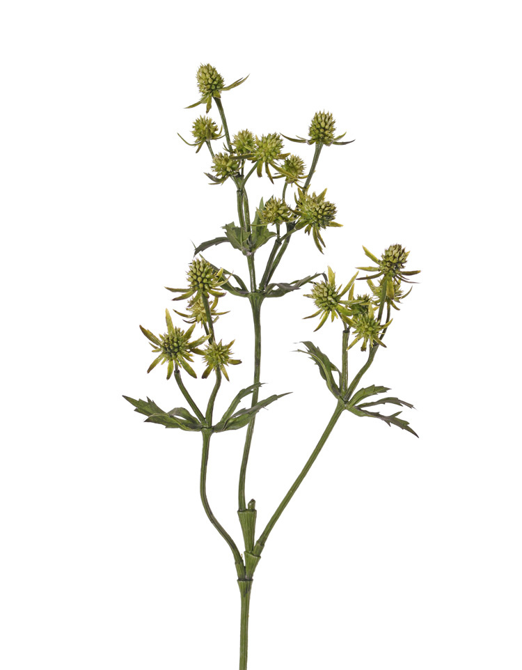 Distelzweig (Eryngium) mit 3 Verzweigungen, 20 Disteln (Plastik, 8 gr. u. 12 kl.) & 24 Blätter, 65 cm
