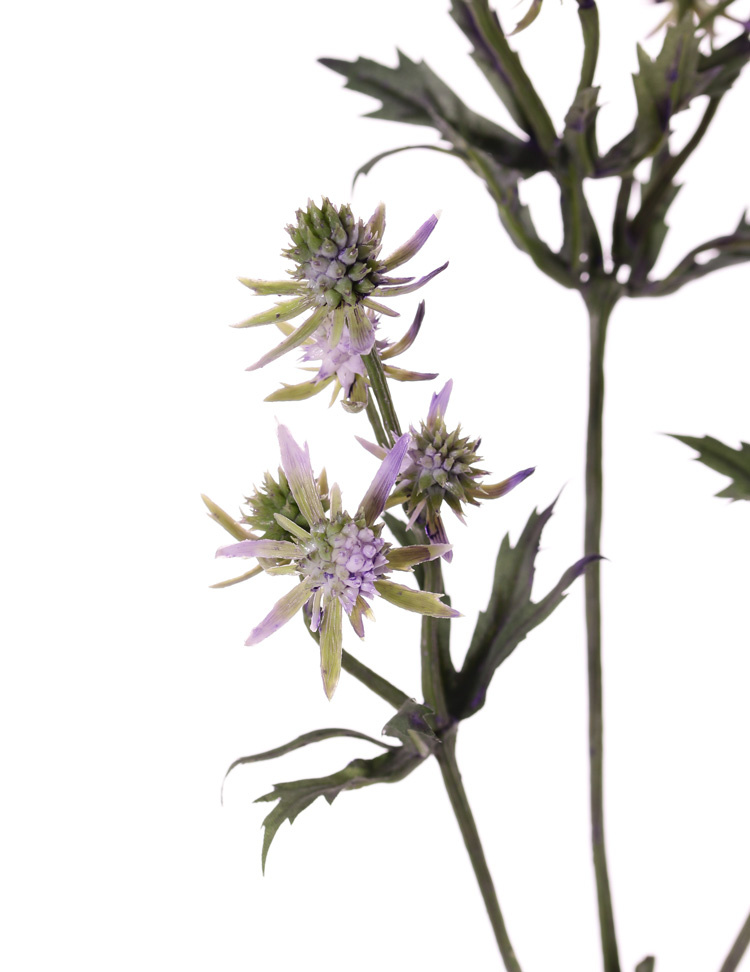 Thistle (Eryngium), 20 plastic thistles (8 L / 12 S) & 24 leaves, 65cm