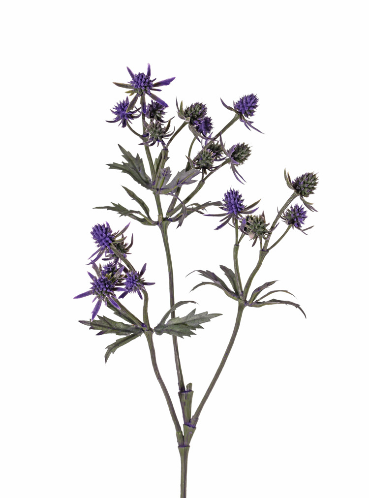 Distelzweig (Eryngium) mit 3 Verzweigungen, 20 Disteln (Plastik, 8 gr. u. 12 kl.) & 24 Blätter, 65 cm