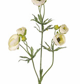 Ranunkel (Ranunculus) 3 Verzweigungen, 6 Blüten, (4x Ø 4,5 cm / 2x Ø 3 cm ), 3 Knospen  & 24 Blätter, 65 cm