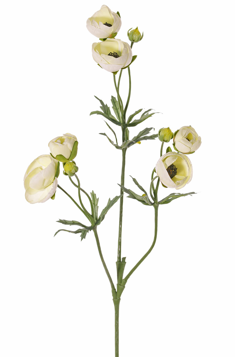 Ranonkel (Ranunculus), 6 flowers (4x Ø 4,5 cm /2x Ø 3 cm ), 3 buds & 24 leaves, 65 cm