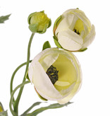 Ranunkel (Ranunculus) 3 Verzweigungen, 6 Blüten, (4x Ø 4,5 cm / 2x Ø 3 cm ), 3 Knospen  & 24 Blätter, 65 cm