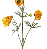 Ranonkel (Ranunculus) met 3 vertakkingen, met 6 bloemen (4x Ø 4,5 cm /2x Ø 3 cm ), 3 knop & 24 blad, 65cm