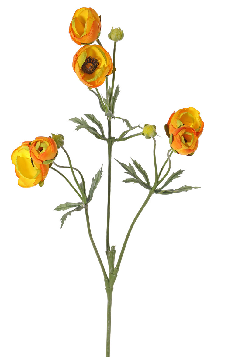 Ranonkel (Ranunculus), 6 flowers (4x Ø 4,5 cm /2x Ø 3 cm ), 3 buds & 24 leaves, 65 cm