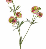 Ranonkel (Ranunculus) met 3 vertakkingen, met 6 bloemen (4x Ø 4,5 cm /2x Ø 3 cm ), 3 knop & 24 blad, 65cm (limerose)