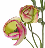 Ranonkel (Ranunculus), 6 flowers (4x Ø 4,5 cm /2x Ø 3 cm ), 3 buds & 24 leaves, 65 cm (limerose)
