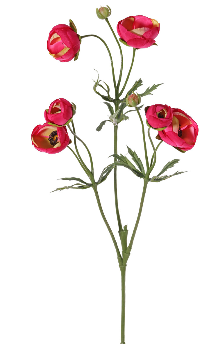 Ranunkel (Ranunculus) 3 Verzweigungen, 6 Blüten, (4x Ø 4,5 cm / 2x Ø 3 cm  ), 3 Knospen & 24 Blätter, 65 cm - Seidenblumen Top Art Int. - Kunstblumen,  Kunstpflanzen B2B