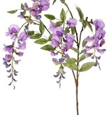 Wisteria  x3, 4 flowers (2L/2M) & 5 leaves, 80cm