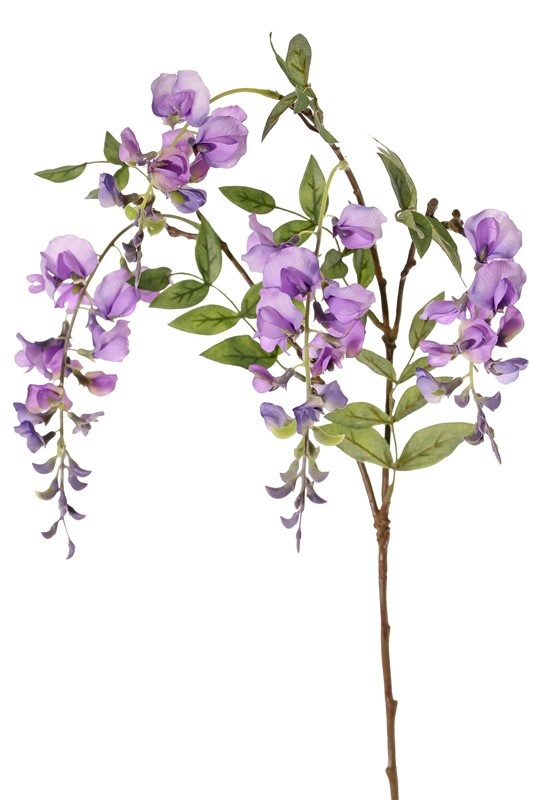 Wisteria  x3, 4 flowers (2L/2M) & 5 leaves, 80cm