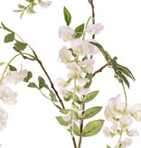 Wisteria  x3, 4 flowers (2L/2M) & 5 leaves, 80cm