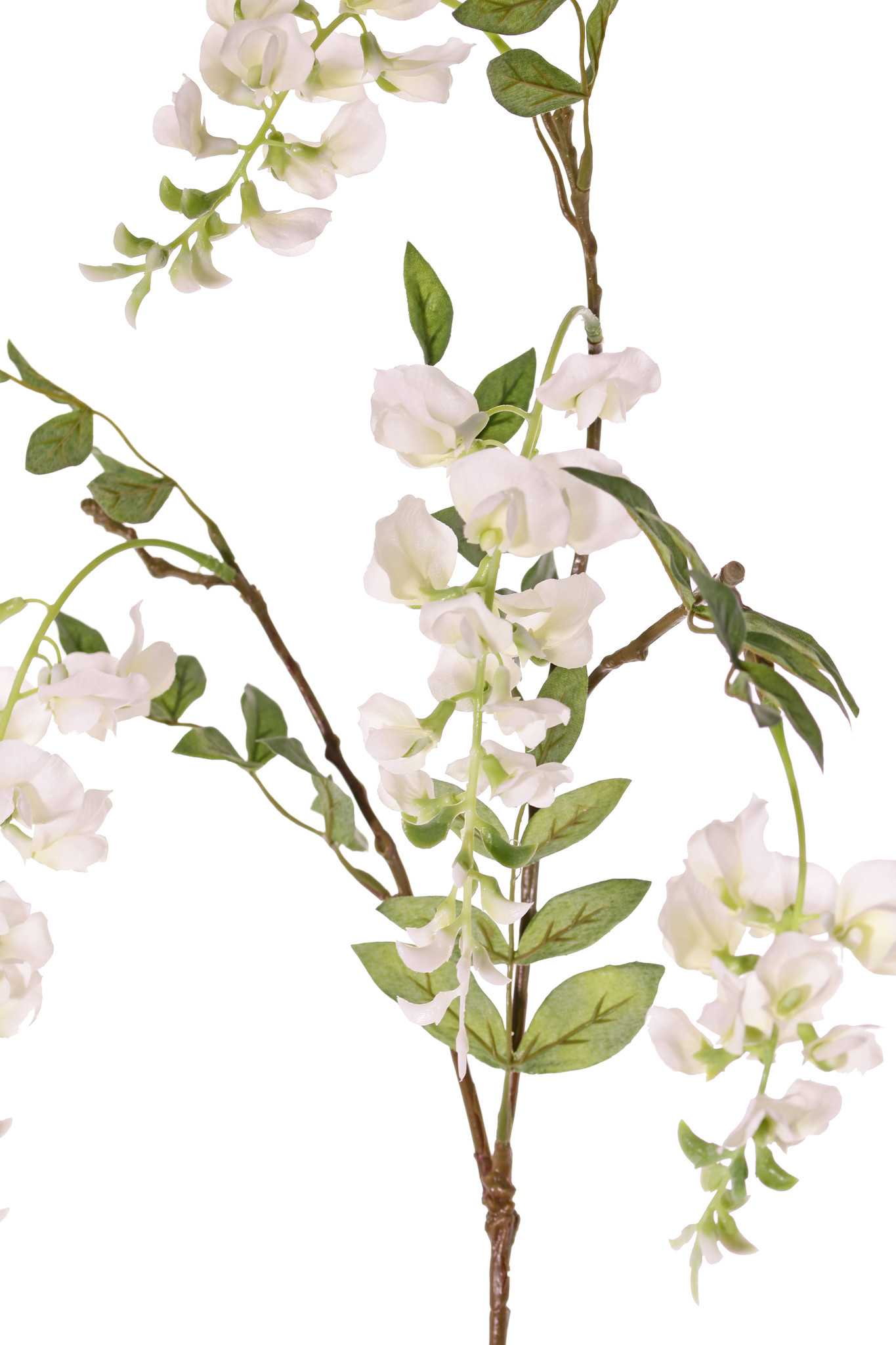 Wisteria  x3, 4 flowers (2L/2M) & 5 leaves, 80cm