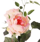 Rose 'Ariana', 4 Verzweigungen, 3 Blumen, 1 Blumenknospe, & 2 kl. Knospen, 31 Blätter, 73 cm -