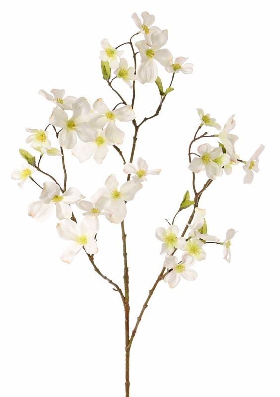 Hartriegel (Cornus) 3 Verzweigungen, 29 Blüten, (9 L / 10 M / 10 S) & 12 Blätter, 83 cm