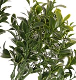 Artificial boxwood twig (Buxus sempervirens) with  48 tips (672 leaves), 47cm