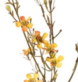 Hakiges Chamelaucium "de Luxe", 26 Blüten, 78cm