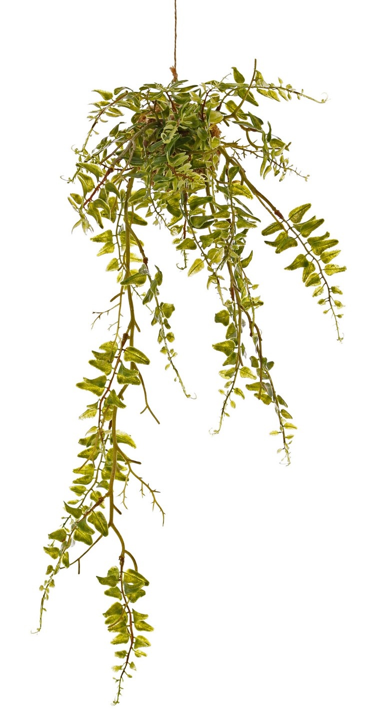 Fern hanger (Laguna) 'Green Wave' on moss ball Ø 8 cm, 25 plastic leaf tufts, with cord, 60 cm