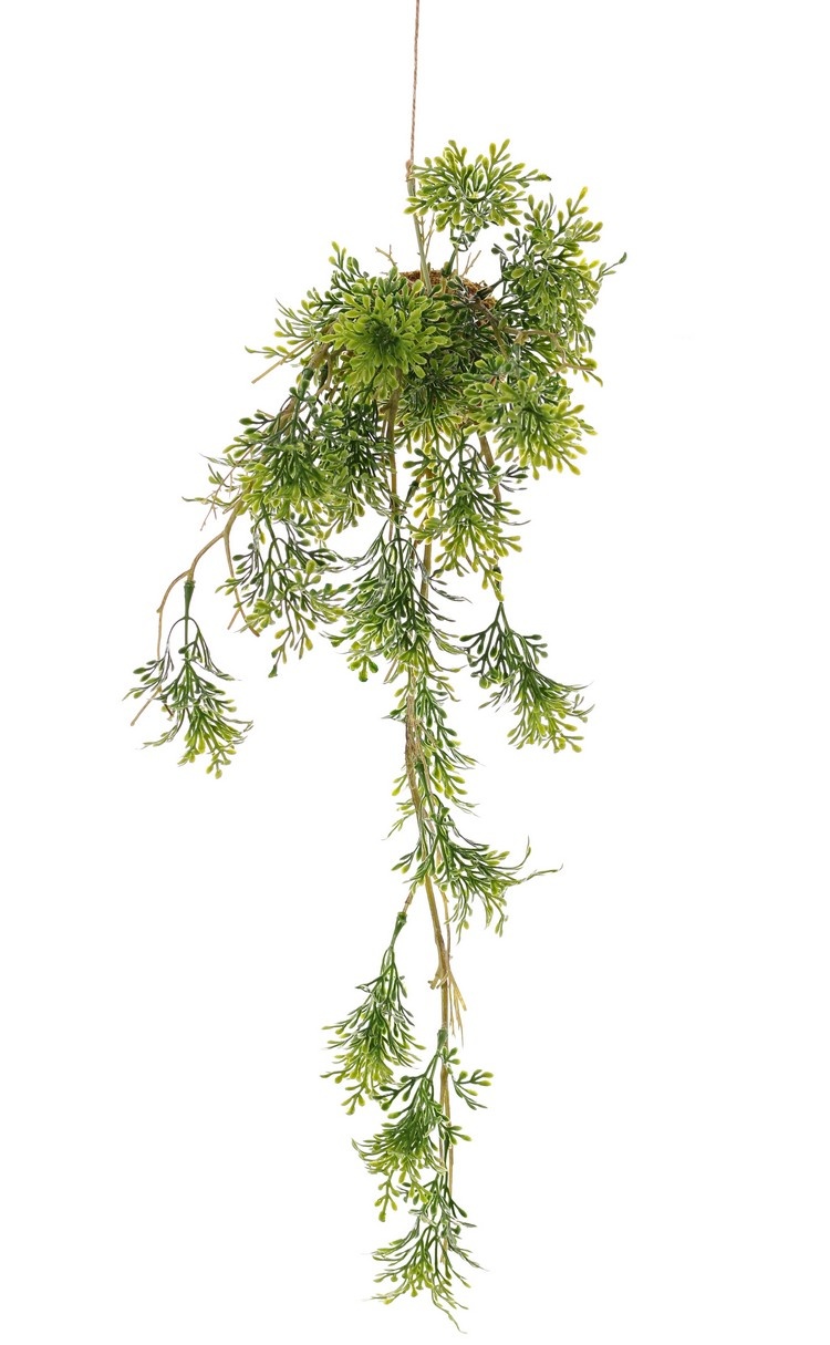 Kokedama - Colgante de romero 'Green Wave' sobre bulbo de musgo Ø 8 cm, 25 racimos de hojas de plástico, con cuerda, 60cm