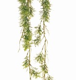 Rosemary 'Green Wave' on a moss bulb Ø 8 cm, 44 plastic leaf clusters, with rope, 90 cm
