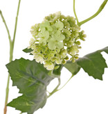 Viburnum (Schneeball) 3 Verzweigungen, 5 Blüten, 7 Blätter, 90 cm