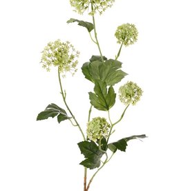 Viburnum, 5 flores, 7 hojas, 90 cm