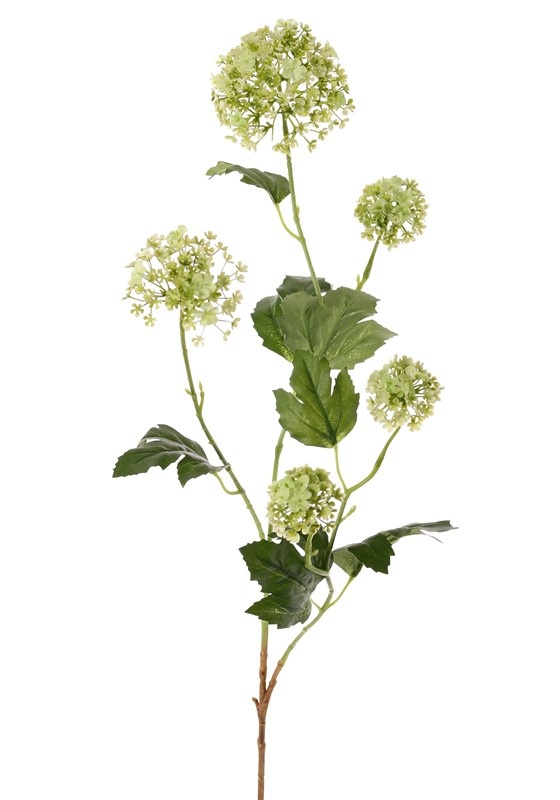 Viburnum (Sneeuwbal) x3, 5 bloemen & 7 blad, 90 cm