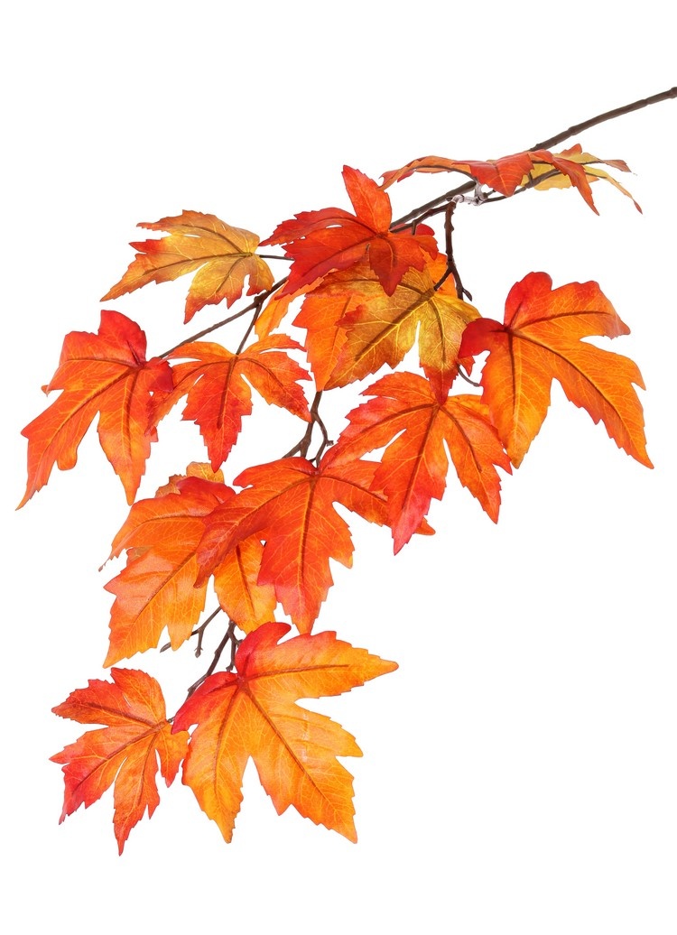 Rama de Arces (Acer) "Ruby", 15 hojas (Ø 10/14cm), 91cm
