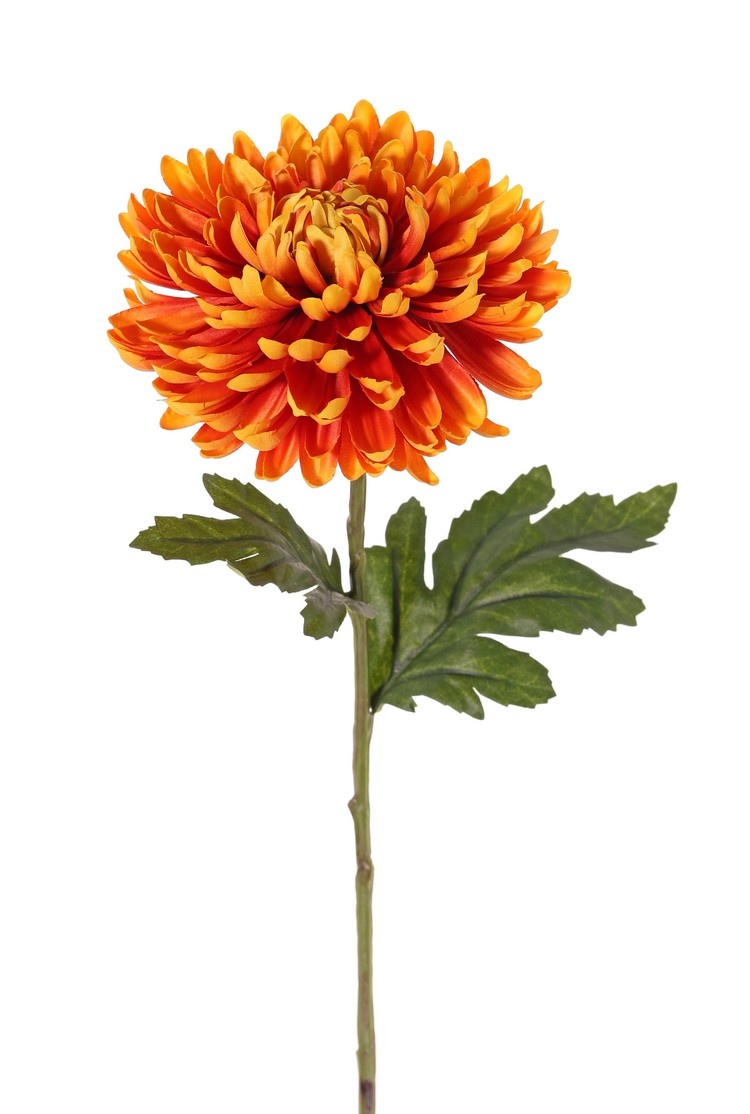 Bolchrysant (Chrysanthemum), 1 bloem (Ø 14 cm, H. 5 cm) & 2 blad (polyester), groene steel, 65 cm