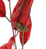 Eucalyptus branch 'Ruby', 22 polyester leaves, 5 plastic fruits, 100 cm