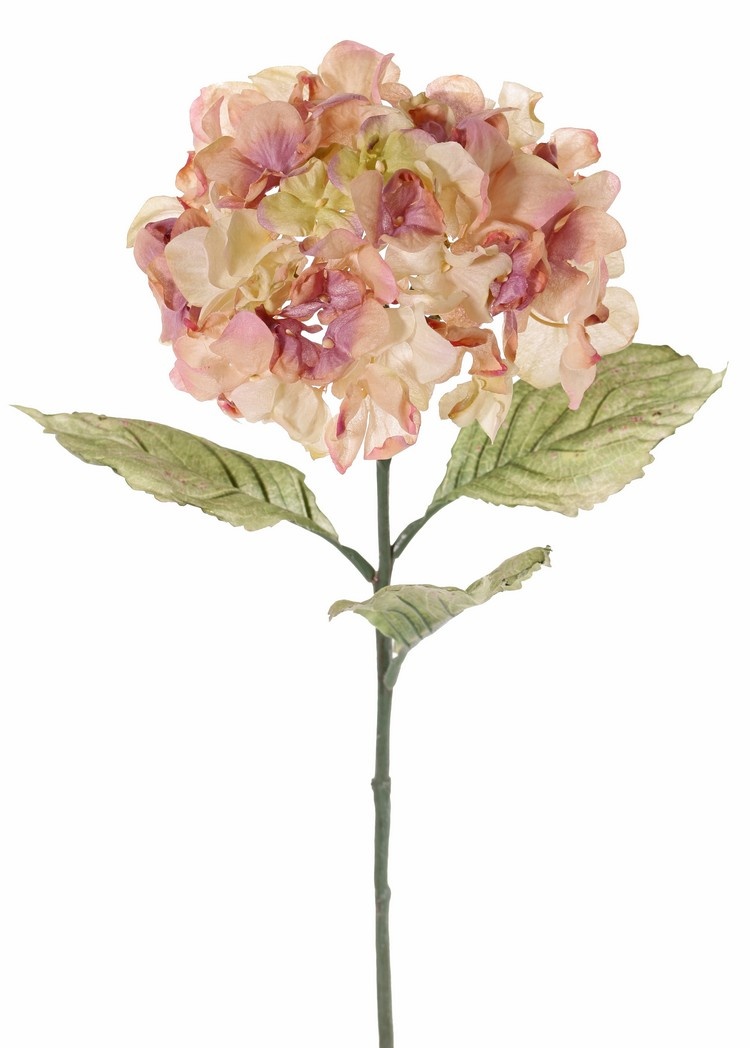Hortensie (Hydrangea), Ø 18 cm, H. 11 cm, 3 Blätter (14 x 10 cm), 73 cm