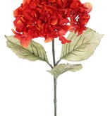 Hortensia (Hydrangea), 1 bloem (Ø 18 cm, H. 11 cm) & 3 blad (14 x 10 cm), groene steel, 73 cm