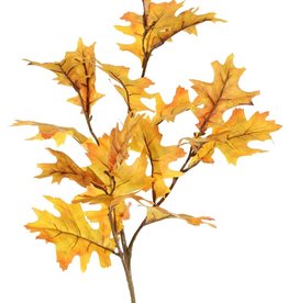 Eikentak (Quercus) 'Modern Art', 4x vertakt & 18 blad (10 L /8 Med.), groene steel, 75 cm