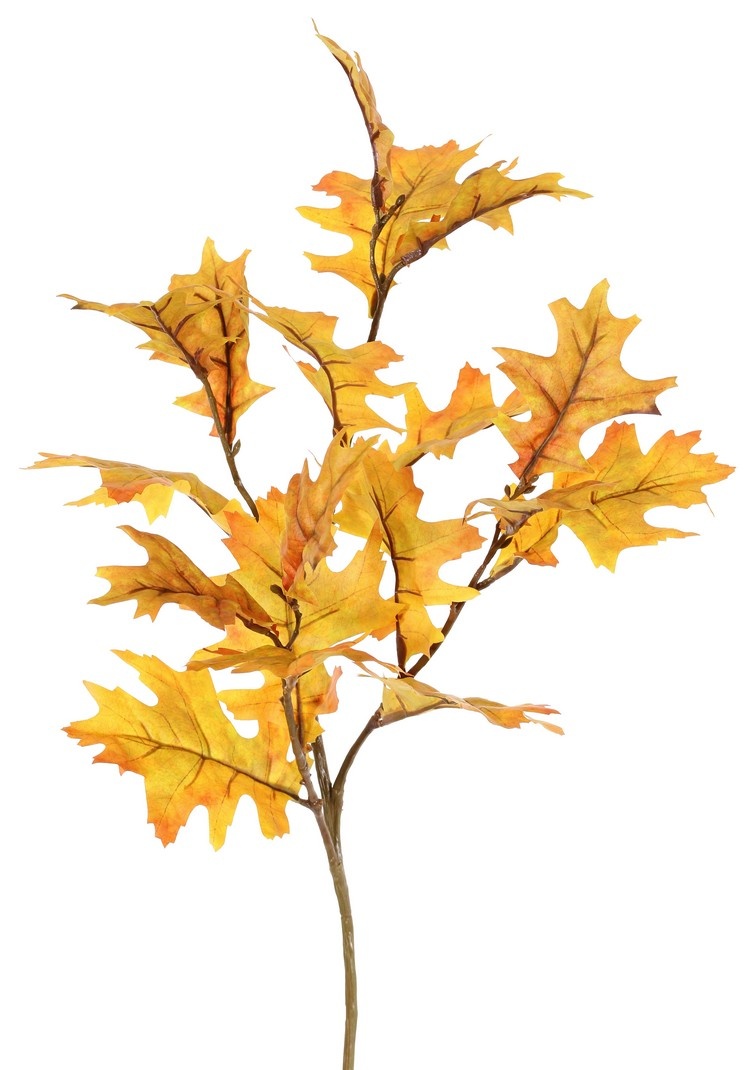 Oak branch (Quercus) 'Modern Art', 4x branched, 18 leaves (10 L /8 Med.), 75 cm