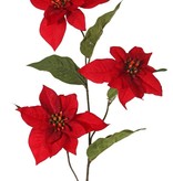 Kerstster (Poinsettia), 3x vertakt, 3 velvet bloemen (Ø 14 cm, H. 3 cm) & 5 blad (12 x 8cm), 80 cm