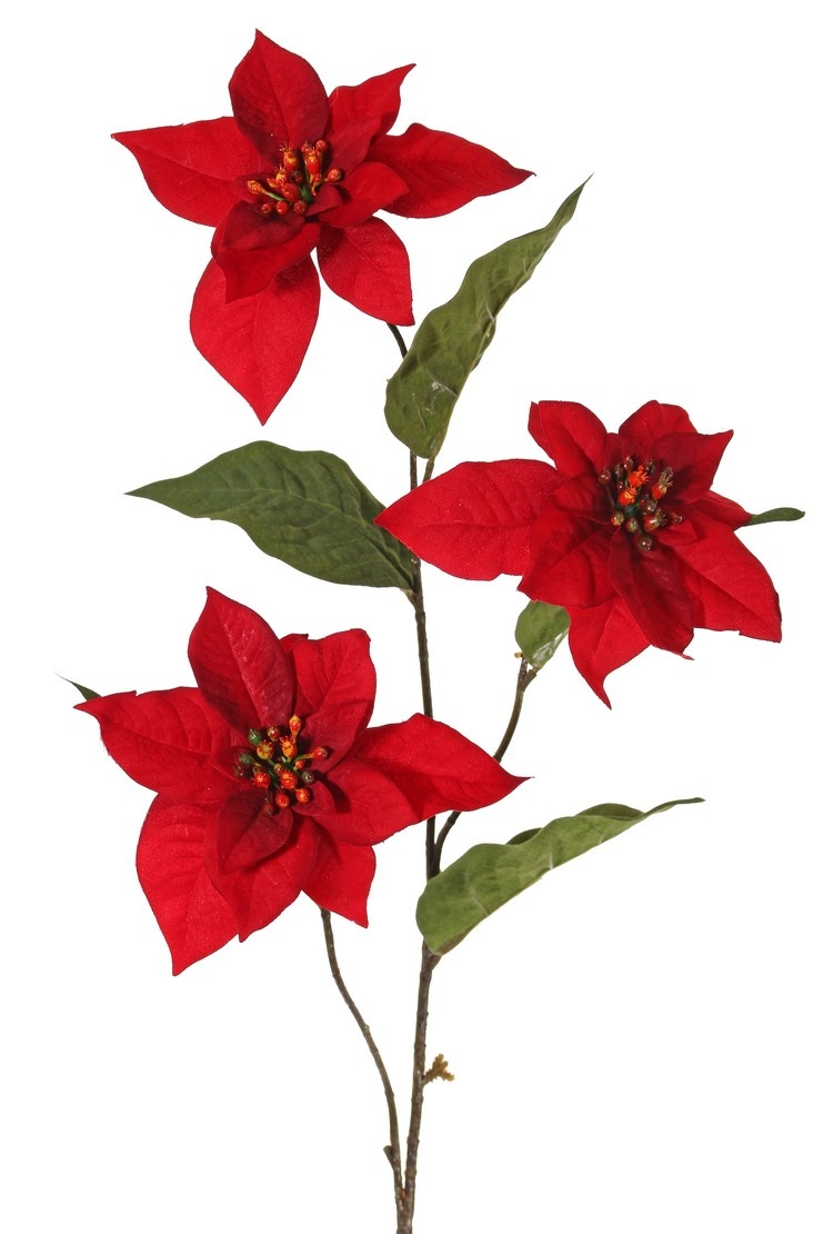 Kerstster (Poinsettia), 3x vertakt, 3 velvet bloemen (Ø 14 cm, H. 3 cm) & 5 blad (12 x 8cm), 80 cm