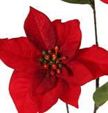 Kerstster (Poinsettia), 3x vertakt, 3 velvet bloemen (Ø 14 cm, H. 3 cm) & 5 blad (12 x 8cm), 80 cm