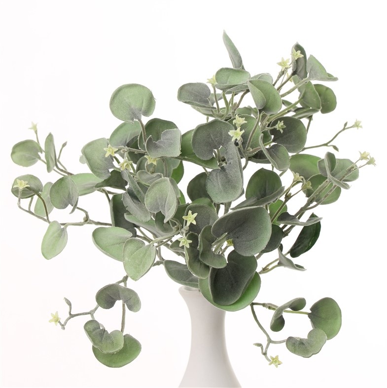 Dichondra "Silver Falls" Busch, mit 11 Verzweigungen und 84 Blättern, 25cm