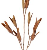 Lily seed branch, 8 seed pods, (5x L / 3x Med.), plastic, 79 cm