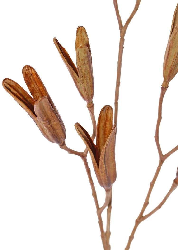 Lily seed branch, 8 seed pods, (5x L / 3x Med.), plastic, 79 cm