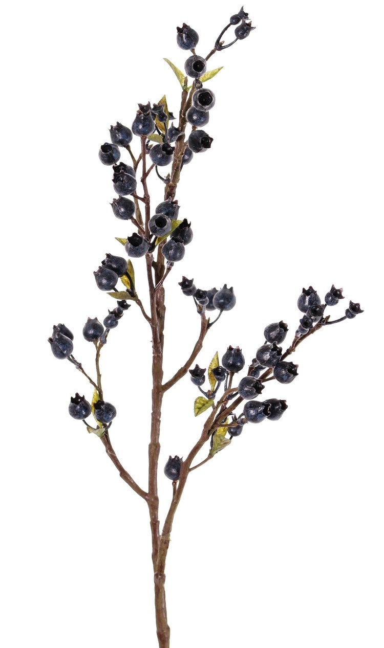 Rama de baya (Vaccinium), 67 bayas, 14 hojas, 60 cm