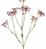 Gipskraut (Gypsophila) 3 Verzweigungen, 9 Blumenstände (4x L / 3x M /2x S), 70 cm